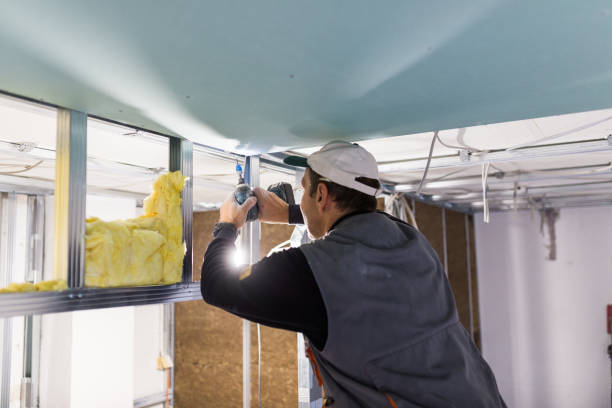 Best Garage Insulation Installation  in Clayton, NC
