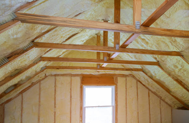 Best Insulation Inspection Services  in Clayton, NC