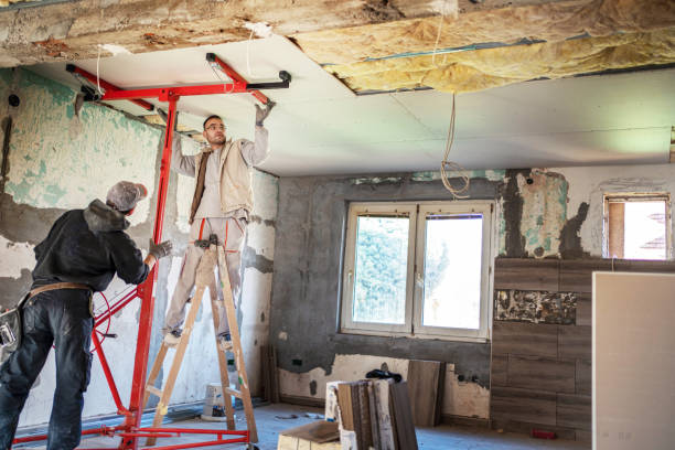 Best Insulation Contractor Near Me  in Clayton, NC