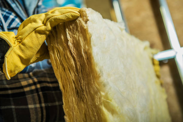 Best Attic Insulation Installation  in Clayton, NC