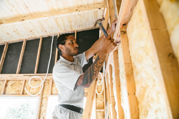 Best Insulation Removal  in Clayton, NC