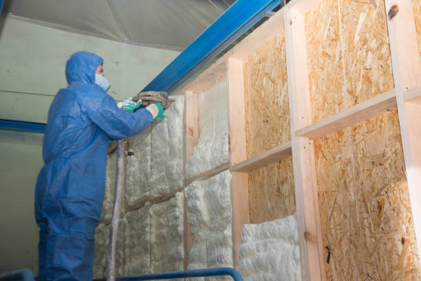Best Insulation for New Construction  in Clayton, NC