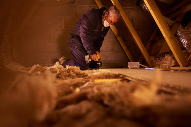 Best Insulation Replacement Services  in Clayton, NC
